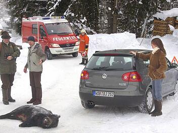 Kein Einzelfall: Häufig kommt es auf den Straßen zu gefährlichen Unfällen mit Wild. Foto: dpa