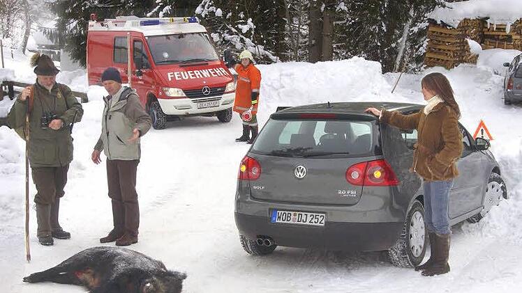 Kein Einzelfall: Häufig kommt es auf den Straßen zu gefährlichen Unfällen mit Wild. Foto: dpa