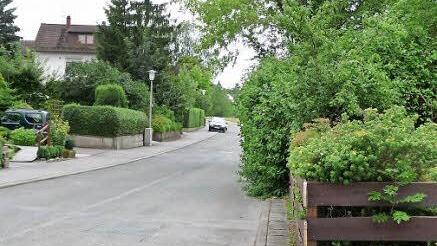 Verengte Straße, eingeschränkte Sicht: Das gefährdet Fußgänger und Kinder. Gegen die Vorschriften ist dieser Wildwuchs außerdem.