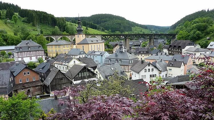 Vom Anwesen Karin Weber, Am Sommerberg 12, hat man einen faszinierenden Ausblick auf Ludwigsstadt. Ihr Motto lautet "Über den Dächern Ludwigsstadts". Foto: Gerd Fleischmann