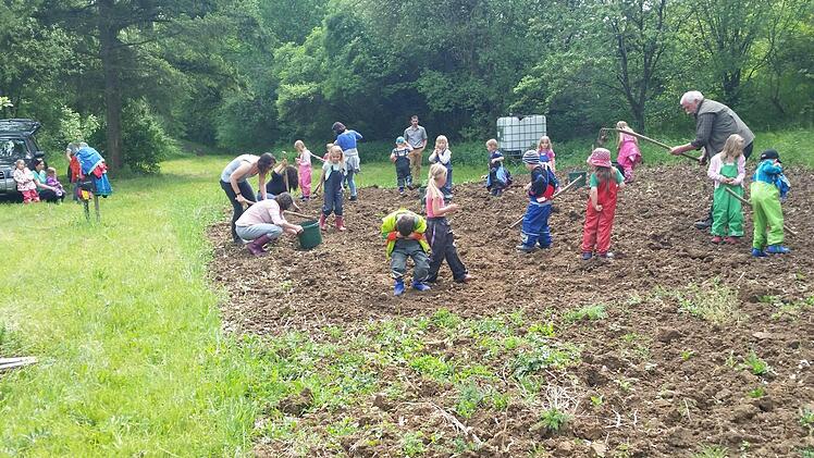 Ein aktiver Verein: Als Verein des Jahres wurde der Gartenbauverein Wülflingen ausgezeichnet. Laut Kreisverbandsgeschäftsführer Guntram Ulsamer hat dessen Vorsitzender Josef Zenker den Verein nach einer "schwierigen Vereinsperiode in neue Bahnen gelenkt", so dass die Mitgliederzahl stetig steige. Unser Bild entstand bei der Kinderaktion Kartoffellegen.