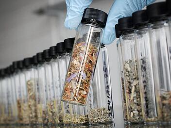 Kräutermischungen Foto: Fredrik von Erichsen/dpa