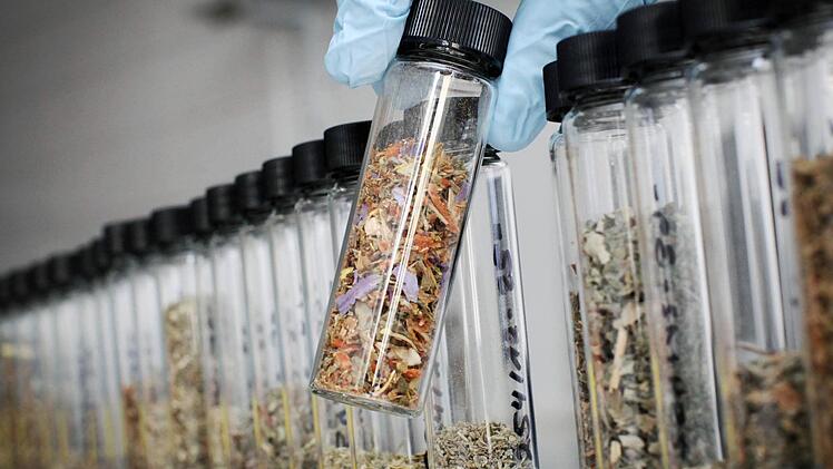 Kräutermischungen Foto: Fredrik von Erichsen/dpa