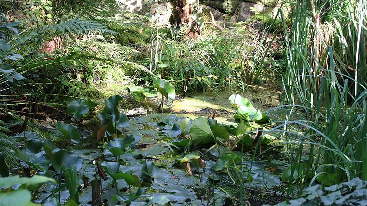 Impressionen aus dem Partenfelder Naturgarten von Anita HofmannFoto: Dagmar Besand