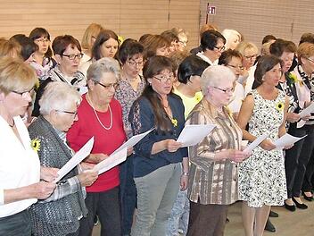 Seine Premiere zum Jubiläum hatte der Chor der TSV-Sonnenblumen in der Sonnefelder Domänenhalle.  Fotos: Klaus Oelzner