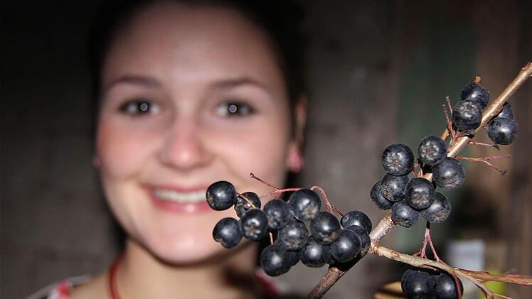 Die Naturapotheke bietet die heilsame Aronia-Beere.