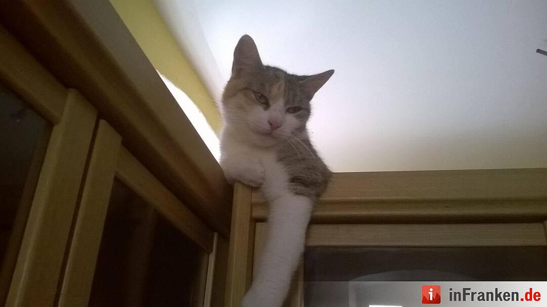 Foto: Bernd Schneider