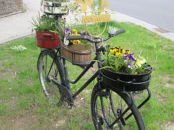 Ein echter "Eye-Catcher" ist das blumenverzierte, historische Fahrrad von Leo Fell, das die "Kleinen Naturfreunde" vom Obst und Gartenbauverein Aura am "Hallas" platzierten.