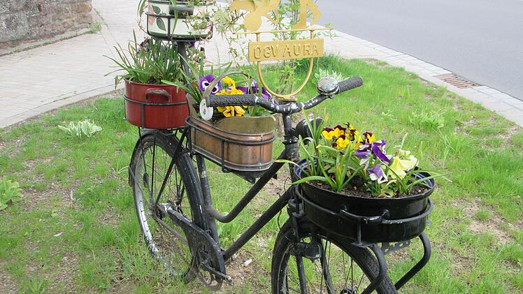 Ein echter "Eye-Catcher" ist das blumenverzierte, historische Fahrrad von Leo Fell, das die "Kleinen Naturfreunde" vom Obst und Gartenbauverein Aura am "Hallas" platzierten.
