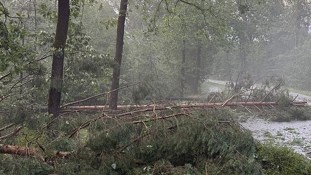 Heroldsberg: Unwetter fordert Verletzten
