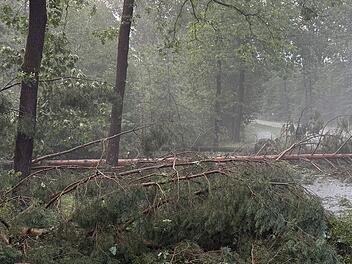 Heroldsberg: Unwetter fordert Verletzten