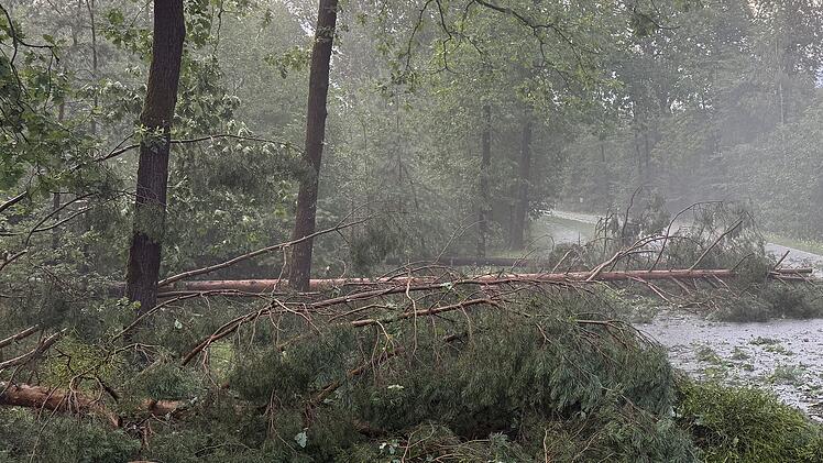 Heroldsberg: Unwetter fordert Verletzten