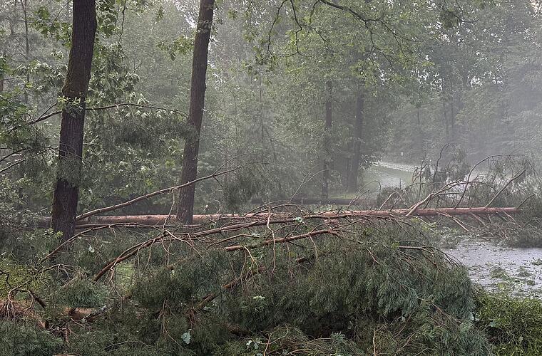 Klettgau: Kind bei Unwetter von Ast erschlagen - "schreckliches Ereignis"