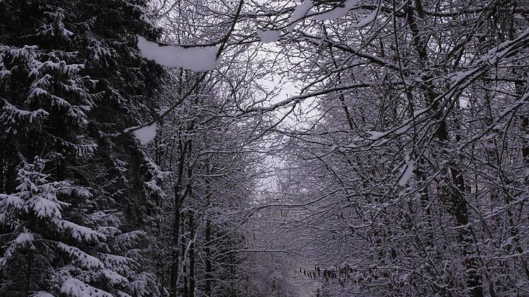 Winterimpressionen Foto: Marco Meißner