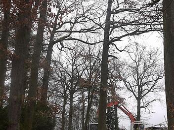 Auf dem Gelände des Anwesens  von Dr. Sitzmann in Thurn wurde das Wohnhaus abgerissen. Dort sollen  vier neue Wohnhäuser entstehen. Foto: Lindner