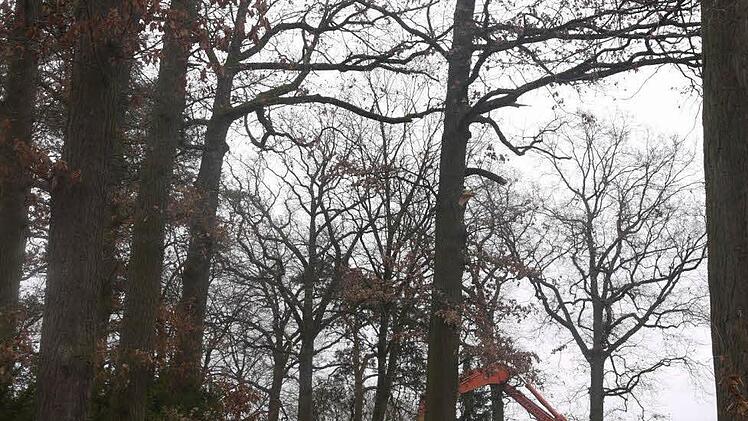 Auf dem Gelände des Anwesens  von Dr. Sitzmann in Thurn wurde das Wohnhaus abgerissen. Dort sollen  vier neue Wohnhäuser entstehen. Foto: Lindner