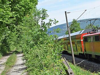 Der Weg zugewuchert und Bäume, die auf die Gleise stürzen könnten: Dass entlang der Bahnstrecke zwischen Sackenbach und Neuendorf stellenweise Handlungsbedarf besteht, ist offensichtlich. Doch die Eigentumsverhältnisse machen die Sache kompliziert.  Foto: Johannes Ungemach