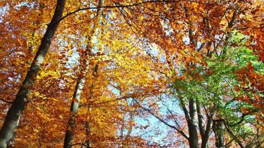 Userfoto: Dieter Hübner