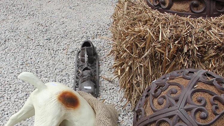 Suchhund.Foto: Birgit Kestel