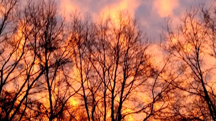 Dieses Motiv schickte unsere Leserin Bernadette Muckelbauer aus Baunach.