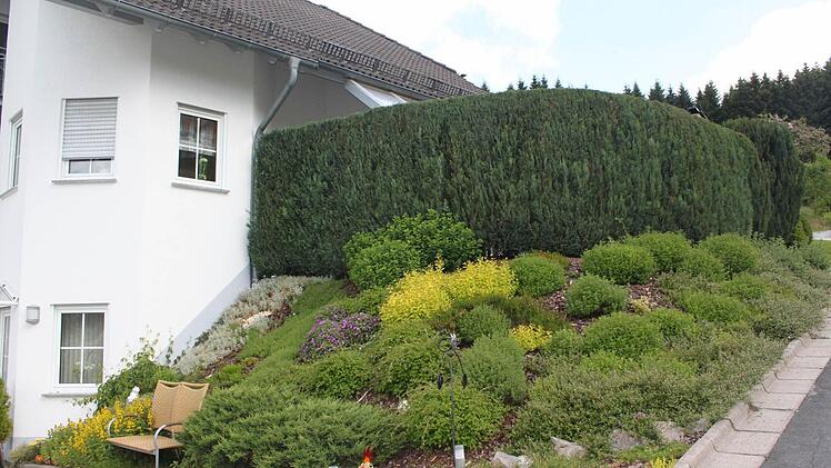 Foto: Veronika Schadeck