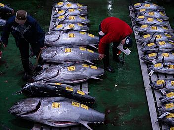 Erste Thunfischauktion des Jahres in Tokio