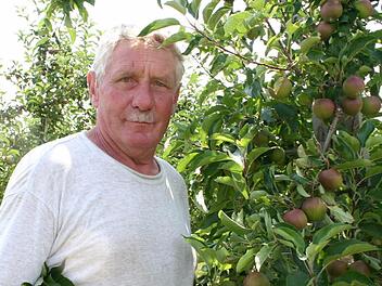 Walter Greiners Äpfel brauchen noch ein paar Wochen. Die Beeren sind jetzt erntereif. Fotos: Carmen Schmitt