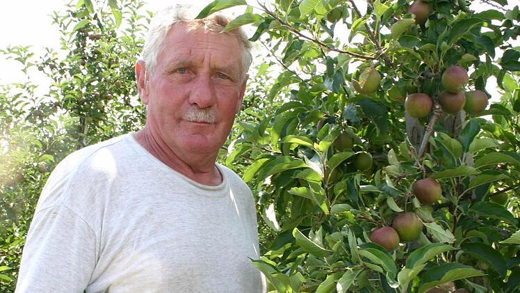 Walter Greiners Äpfel brauchen noch ein paar Wochen. Die Beeren sind jetzt erntereif. Fotos: Carmen Schmitt