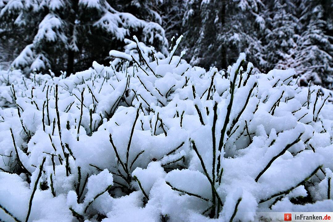 Schnee im Fichtelgebirge