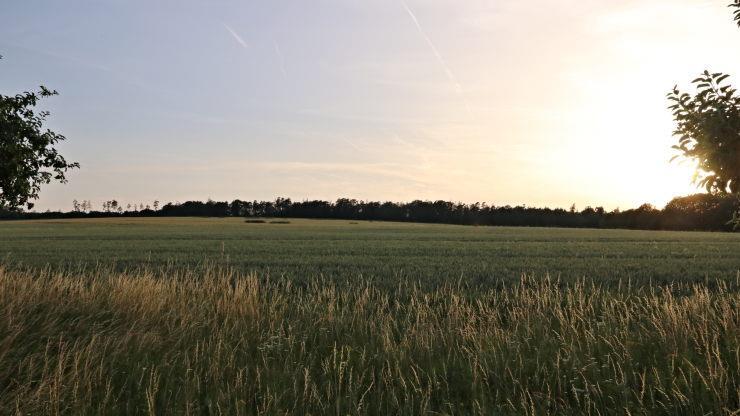 Zwischen Panorama- und Friedrich-Rückert-Weg soll die Photovoltaik-Freiflächenanlage zwischen Kurzewind im Süden und Buch im Norden entstehen.