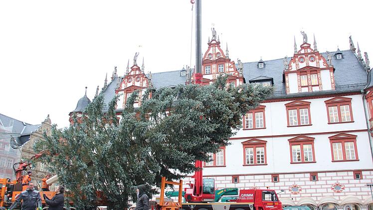 Foto: Niklas Schmitt