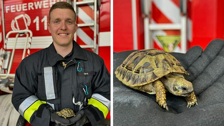 N&uuml;rnberg: Feuerwehr rettet ausgesetzte Schildkr&ouml;te - "kommt vielleicht als Maskottchen auf die Wache zur&uuml;ck"