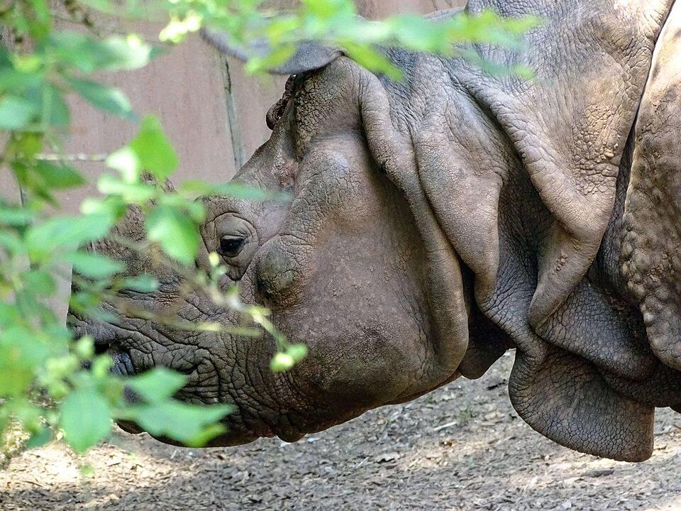 Tiergarten Nürnberg