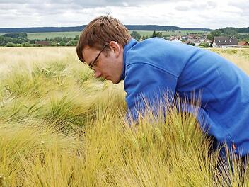 Daniel Mültner muss berechnen, welchen Ertrag ein Gerstenacker liefern wird. Foto: Rainer Lutz