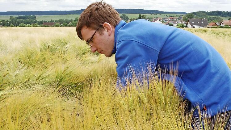 Daniel Mültner muss berechnen, welchen Ertrag ein Gerstenacker liefern wird. Foto: Rainer Lutz