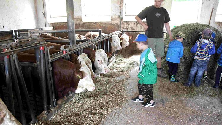 Foto: Richard Sänger