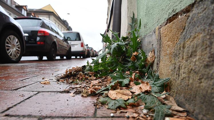 Die Stadt Bamberg erhöht ab 2019 die Gebühren für Abfall, Entwässerung und Straßenreingigung.  Foto: Ronald Rinklef