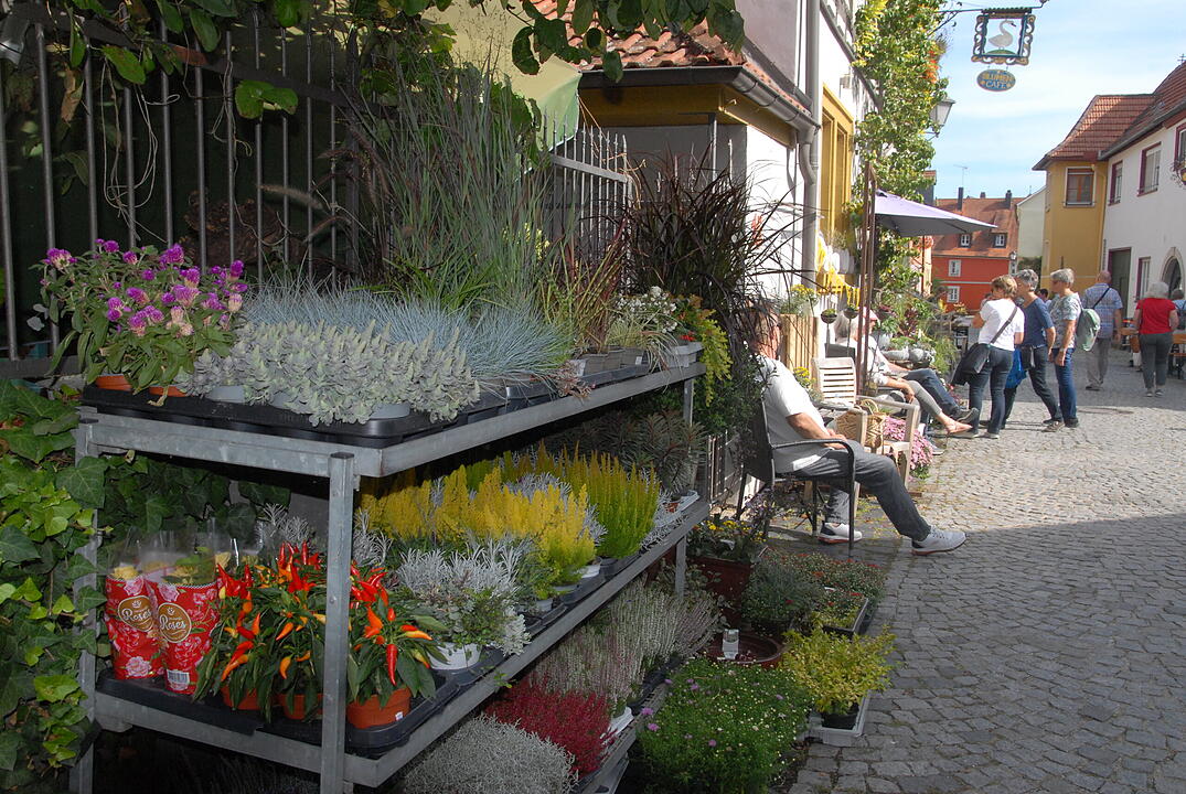 Kirchweih Iphofen