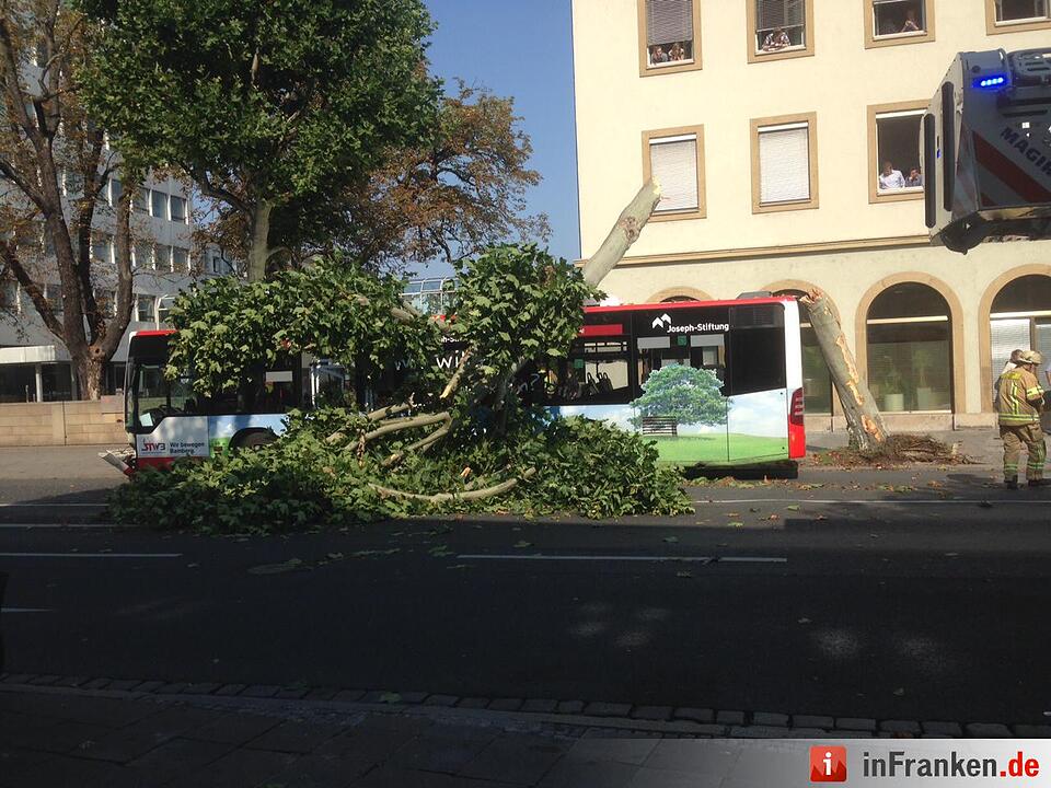 Baum stürzt in Bamberg auf Stadtbus