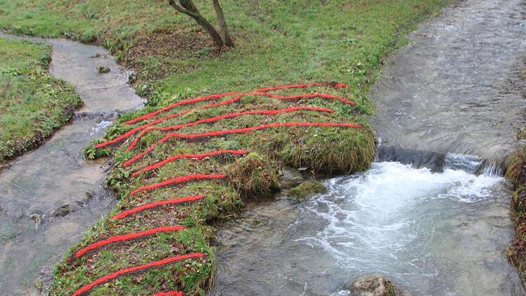 Belegte Landzunge: Hier haben die unbekannten Künstler schwarze Erde und scharlachrote Vogelbeeren als Streifen ausgelegt. Foto: Matthias Einwag