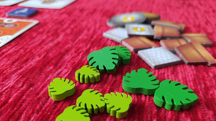 Sattgrün im Test - Familien-Legespiel zum Thema Zimmerpflanzen