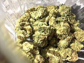 Cannabis