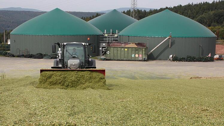 13.500 Tonnen Mais reichen bei der Biogasanlage für ein gutes Jahr.  Das Lager ist gefüllt.  Foto: Bartl