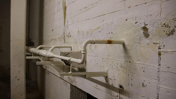 Bilder aus dem Hallenbad. Foto: Ralf Ruppert