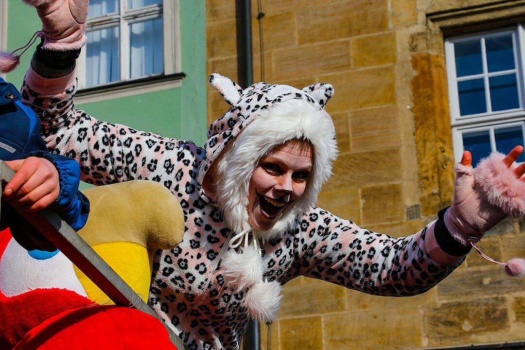 Faschingsumzug in Bamberg