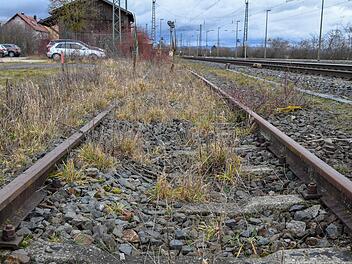 Gras ist über das inzwischen stillgelegte alte Gleis 1 in Oberhaid gewachsen,  doch nun wird an das Leid der 500 jüdischen Mädchen und Frauen erinnert, die auf dem Transport ins KZ hier einen Tag  in Waggons abgestellt  worden waren. Foto: Ronald Rinklef