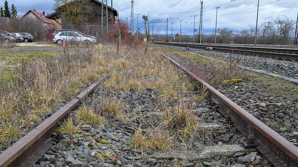 Gras ist über das inzwischen stillgelegte alte Gleis 1 in Oberhaid gewachsen,  doch nun wird an das Leid der 500 jüdischen Mädchen und Frauen erinnert, die auf dem Transport ins KZ hier einen Tag  in Waggons abgestellt  worden waren. Foto: Ronald Rinklef