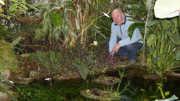 Im Teich des Tropenhauses tummeln sich seltene Fischarten. Foto: Petra Malbrich