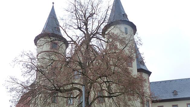 Friedenslinde