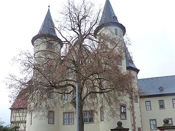 Friedenslinde